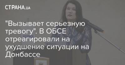 Анн Линд - "Вызывает серьезную тревогу". В ОБСЕ отреагировали на ухудшение ситуации на Донбассе - strana.ua - Донбасс