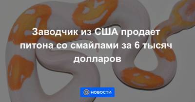 Екатерина Гура - Заводчик из США продает питона со смайлами за 6 тысяч долларов - news.mail.ru