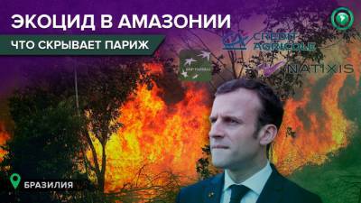 Эммануэль Макрон - Экоцид в Амазонии: как Макрон и французские банки «спасали» леса Бразилии - riafan.ru - Бразилия - Париж