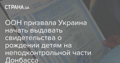 Матильда Богнер - ООН призвала Украина начать выдавать свидетельства о рождении детям на неподконтрольной части Донбасса - strana.ua - Донбасс