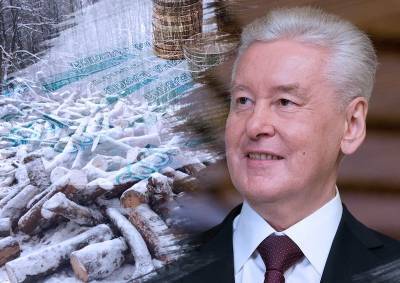 Сергей Собянин - Защитники Битцевского леса призвали Собянина компенсировать вырубленные деревья на западе Москвы с помощью городской программы - mskgazeta.ru - Москва - район Кунцево