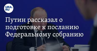 Владимир Путин - Дмитрий Песков - Путин рассказал о подготовке к посланию Федеральному собранию - ura.news