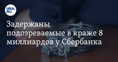 Ирина Волк - Задержаны подозреваемые в краже 8 миллиардов у Сбербанка - ura.news
