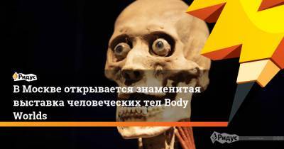 В Москве открывается знаменитая выставка человеческих тел Body Worlds - ridus.ru - Москва