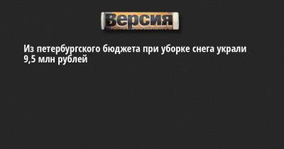 Из петербургского бюджета при уборке снега украли 9,5 млн рублей - neva.versia.ru - Ленинградская обл. - Санкт-Петербург