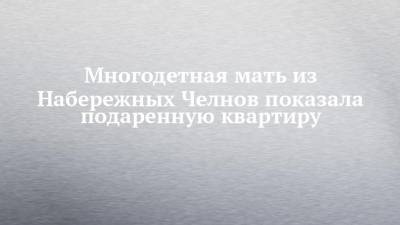 Наиль Магдеев - Многодетная мать из Набережных Челнов показала подаренную квартиру - chelny-izvest.ru - респ. Татарстан - Набережные Челны