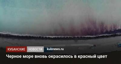 Черное море вновь окрасилось в красный цвет - kubnews.ru - Краснодарский край - Новороссийск - Черное Море