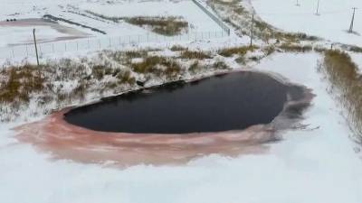 Вода в реке Усмань отравлена химикатами. Под угрозой экосистема заповедника и жители многих городов - 1tv.ru - Воронеж - Воронежская обл.