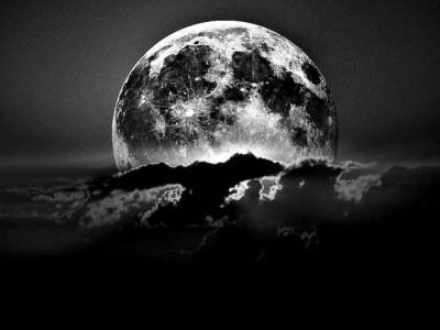 На Луне построят «Ноев ковчег» на случай гибели человечества - inform-ua.info