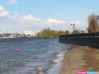 Засуху в Ростовской области прогнозируют до 2025 года - privet-rostov.ru - Ростовская обл.