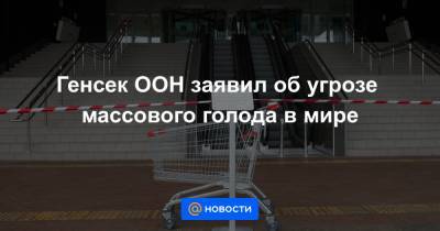Генсек ООН заявил об угрозе массового голода в мире - news.mail.ru - Афганистан - Йемен - Южный Судан