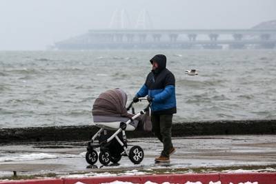 В России захотели перестать платить детские пособия подозрительно бедным семьям - lenta.ru