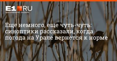 Галина Шепоренко - Артем Устюжанин - Еще немного, еще чуть-чуть: синоптики рассказали, когда погода на Урале вернется к норме - e1.ru - Екатеринбург - Свердловская обл.