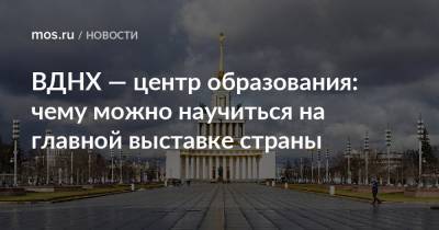 ВДНХ — центр образования: чему можно научиться на главной выставке страны - mos.ru - Москва