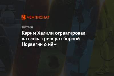 Карим Халили - Карим Халили отреагировал на слова тренера сборной Норвегии о нём - championat.com - Норвегия