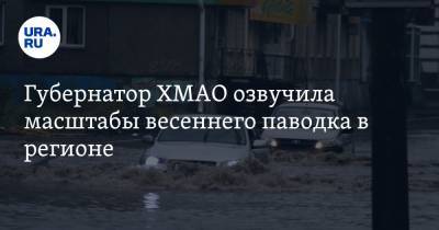 Наталья Комарова - Владимир Якушев - Губернатор ХМАО озвучила масштабы весеннего паводка в регионе - ura.news - Югра - Уральск