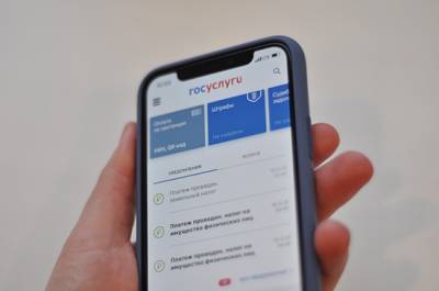 Дмитрий Чернышенко - Платформа «Госуслуги. Решаем вместе» начнёт работать во всех регионах до конца 2021 года - pnp.ru