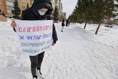 Прокуратура обжаловала продажу участка в новосибирском Академгородке - tayga.info - Новосибирск