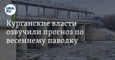 Курганские власти озвучили прогноз по весеннему паводку - ura.news - Шадринск - Катайск