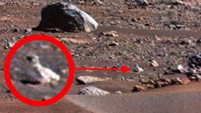 Скотт Уоринг - Уфолог разглядел на снимках NASA с Марса живые объекты - ufacitynews.ru - Тайвань