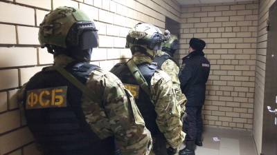 ФСБ сообщила о задержании 72-х подпольных оружейников - tvc.ru