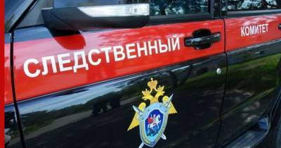 СК провели допрос с захватившим заложника жителем Северодвинска - profile.ru - Северодвинск