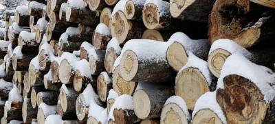 В районе Карелии суд наказал местных жителей за вырубку 72 деревьев - stolicaonego.ru - республика Карелия