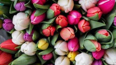 Сельской бизнес-леди не удалось купить 1 000 цветов по 10 рублей - penzainform.ru - район Городищенский