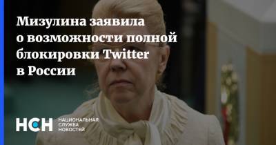 Елена Мизулина - Екатерина Мизулина - Мизулина заявила о возможности полной блокировки Twitter в России - nsn.fm
