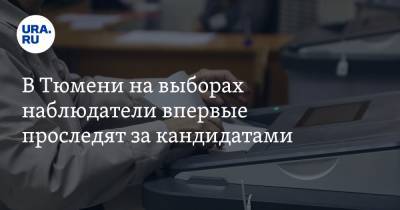В Тюмени на выборах наблюдатели впервые проследят за кандидатами - ura.news - Тюмень - Тюменская обл.