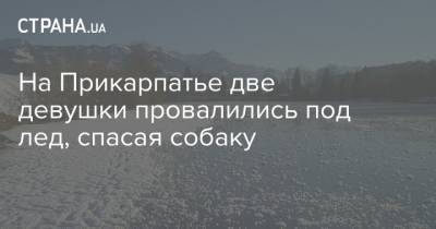 На Прикарпатье две девушки провалились под лед, спасая собаку - strana.ua - Ивано-Франковская обл.