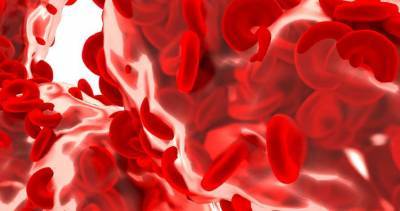 Медики объяснили, как просто повысить уровень гемоглобина в крови - lenta.ua