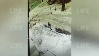 В.Нео - "Мальчик не дышал": В Томске ребёнка "зажевали" автоматические ворота — видео - reendex.ru - Томск