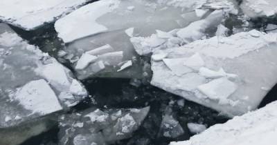 На Прикарпатье две девушки спасали собаку и провалились под лед - dsnews.ua