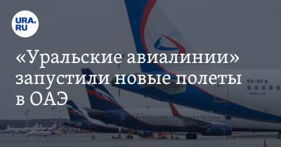 «Уральские авиалинии» запустили новые полеты в ОАЭ. Цены и даты - ura.news - Екатеринбург - Эмираты