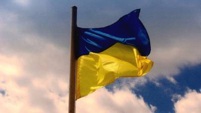 Александр Гончаров - Украина может столкнуться с «двойным экономическим ударом» - riafan.ru - Киев