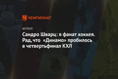 Михаил Рождественский - Сандро Шварц - Сандро Шварц: я фанат хоккея. Рад, что «Динамо» пробилось в четвертьфинал КХЛ - championat.com - Москва