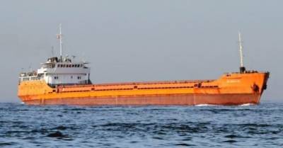 Кораблекрушение в Румынии: спасенные украинские моряки прибыли в порт Констанца (ВИДЕО) - delo.ua - Румыния