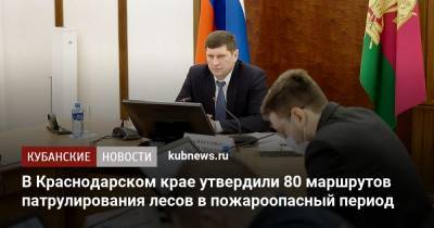 Андрей Алексеенко - В Краснодарском крае утвердили 80 маршрутов патрулирования лесов в пожароопасный период - kubnews.ru - Краснодарский край