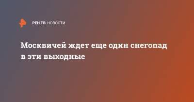 Москвичей ждет еще один снегопад в эти выходные - ren.tv - Москва