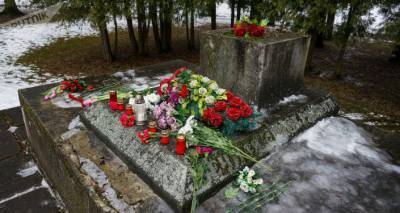 У украденной пушки с мемориала не оказалось статуса охраняемого государством памятника - lv.sputniknews.ru - Рига - Латвия