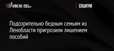 Подозрительно бедным семьям из Ленобласти пригрозили лишением пособий - ivbg.ru - Россия - Ленинградская обл. - Санкт-Петербург - Россияне