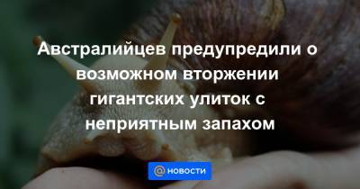 Австралийцев предупредили о возможном вторжении гигантских улиток с неприятным запахом - news.mail.ru - Австралия