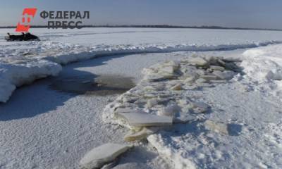 Югорский Природнадзор не подтвердил факт массовой гибели рыбы на Оби - fedpress.ru - Сургут - Нижневартовск
