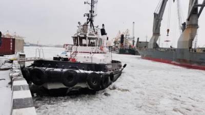Буксир и теплоход столкнулись в морском порту Петербурга - piter.tv - Петербург