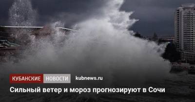 Сильный ветер и мороз прогнозируют в Сочи - kubnews.ru - Сочи - Краснодарский край