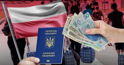 Постоянный вид на жительство в Польше есть уже у четверти миллиона украинцев - focus.ua - Украина - Польша