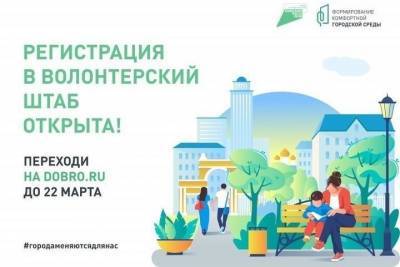 Около 100 псковских волонтеров вошли в штаб по поддержке голосования за объекты благоустройства - mk-pskov.ru - Псковская обл. - Псков