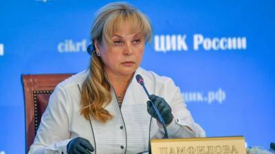 Элла Памфилова - ЦИК получил заявки от 11 регионов на проведение онлайн-голосования - polit.info - Москва