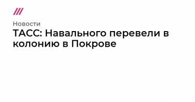 Ольга Михайлова - ТАСС: Навального перевели в колонию в Покрове - tvrain.ru